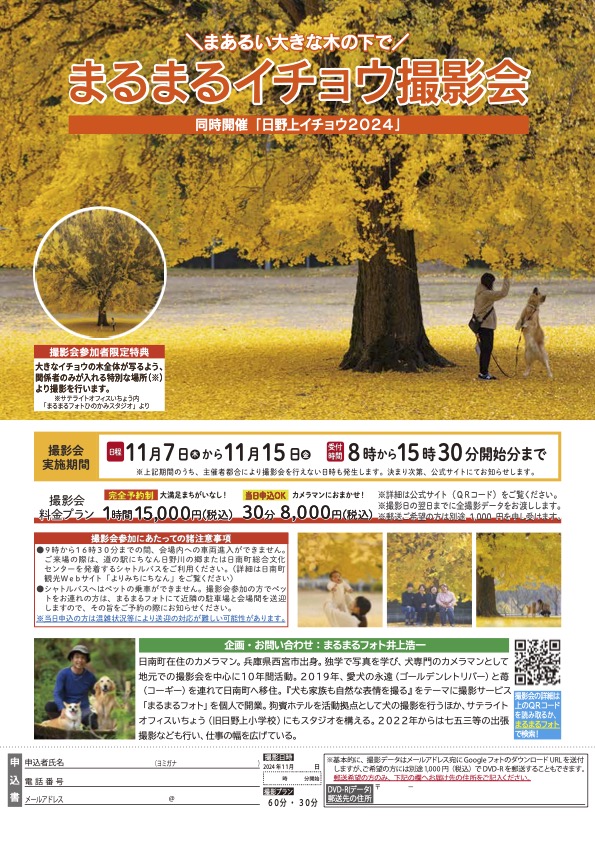 まるまるイチョウ撮影会2024